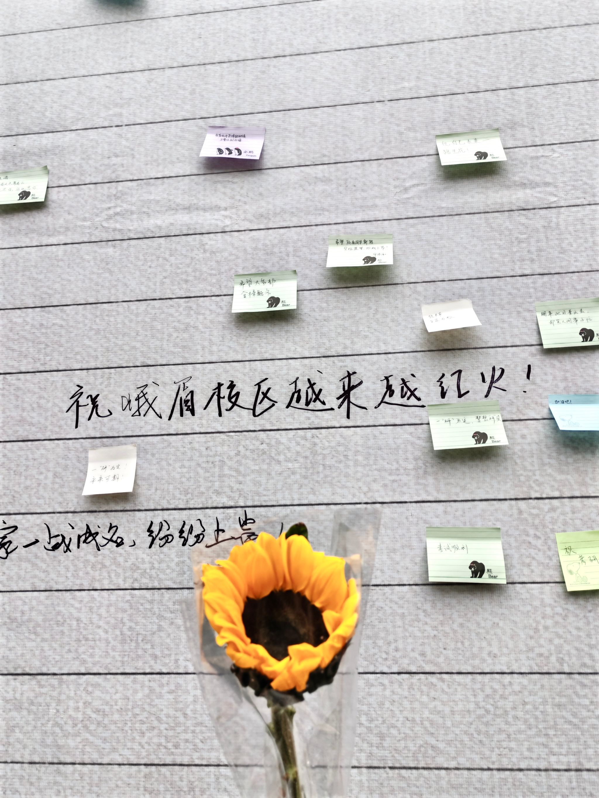 永利集团304官网