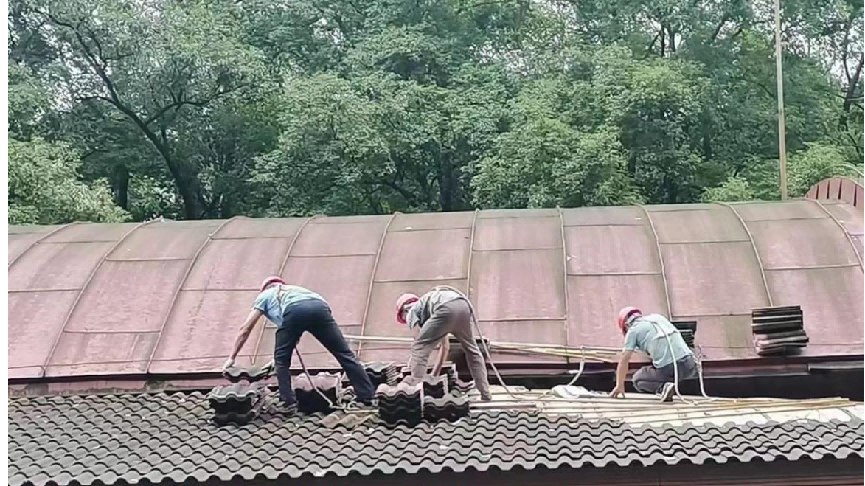 图片3 图片3